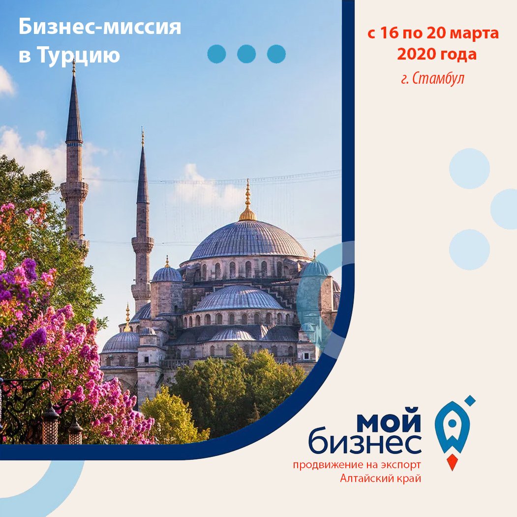 Международная бизнес-миссия в Турцию (г. Стамбул) Международная бизнес-миссия в Турцию (г. Стамбул)